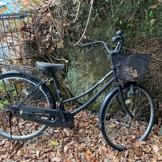 自転車　３台　無料