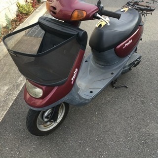 ジョクポシェ 50cc