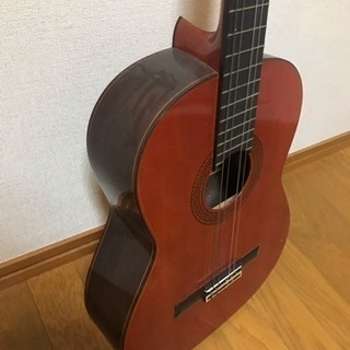 アコギの画像