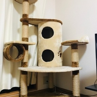 キャットタワー