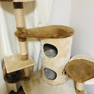 キャットタワーの画像