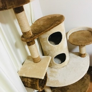 キャットタワーの画像
