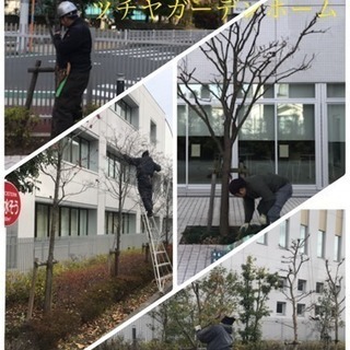 アパートマンションの木の剪定 除草など庭の手入れ致します【所沢市 狭山市志木市川越市入間市〜】の画像