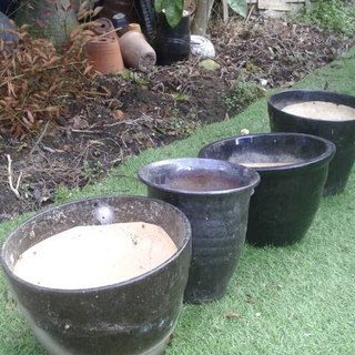 鉢の画像