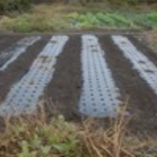 坂東市で畑作を始めたい方、また現状より規模を拡大したい方農地（畑）売ります。 - 坂東市
