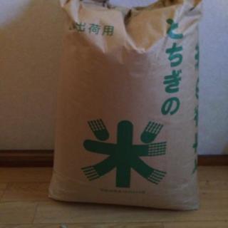 H30  新米  30キロ