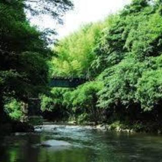 福岡県　赤村【源じいの森　温泉　無料入浴チケット】の画像