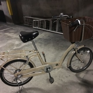 ペットと一緒にサイクリング自転車