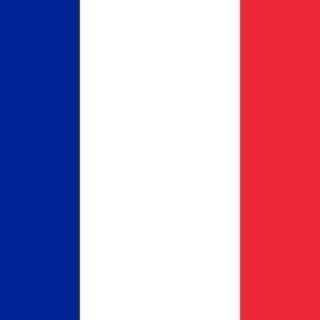 フランス語の教師