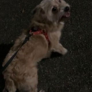 1歳10ヶ月