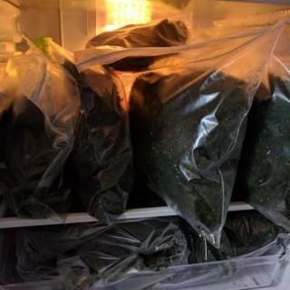 【青海苔をプレゼントします】