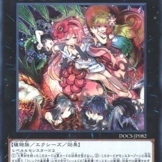 遊戯王好きな方