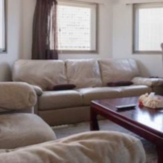 900円Natuzzi Italia  ナツッジイタリア  it...