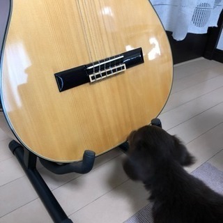 【受付中止】アコースティックギター セット 年末特価！！の画像