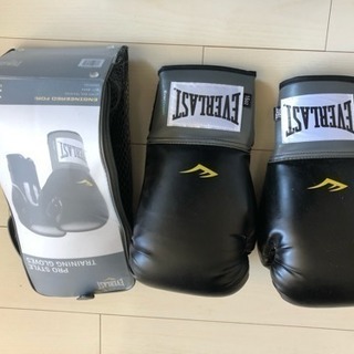 【未利用品】エバーラスト ボクシンググローブ 16オンスの画像