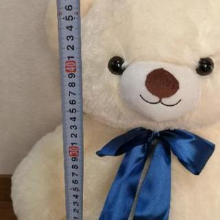 マイキュートベア スーパージャンボ50cm(取り引き中)の画像