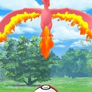ポケモンGO一緒にプレイできる方募集します！