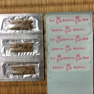 ゴキブリホイホイの足拭きマットと餌