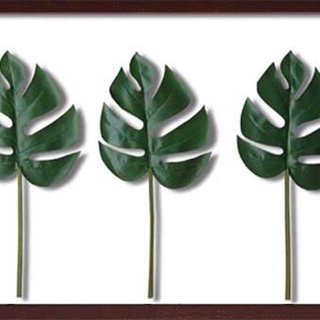 JIG リーフアート F-style フレーム Monstera...