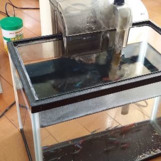 水槽ろ過器おまけ付き