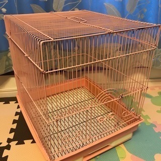 鳥かご ピンク色
