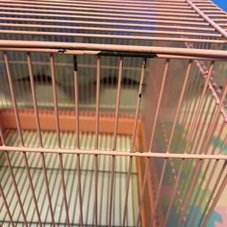 鳥かご ピンク色の画像