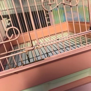 鳥かご ピンク色の画像