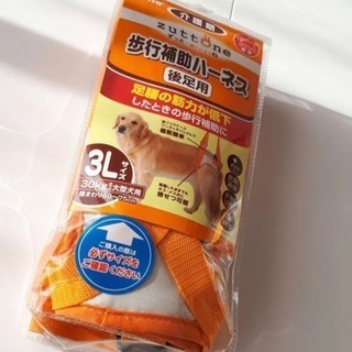わんちゃん いろいろ5点セット