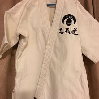 天成道 道着、空手用 グローブ 、プロテクターの画像