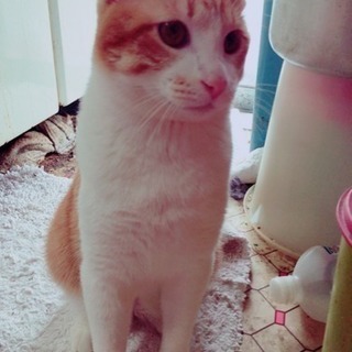 探してます！