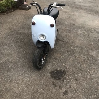 スズキチョイノリ