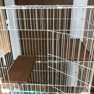 美品キャットケージ 【引き取り限定】の画像