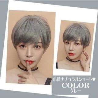 グレー ショート ウィッグ レディース（1回試着）
