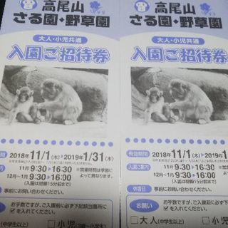 高尾山 さる園・野草園