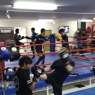 箕面市 キックボクシング会員募集中 新春お年玉キャンペーン実施中！の画像