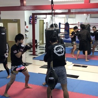 箕面市 キックボクシング会員募集中 新春お年玉キャンペーン実施中！の画像