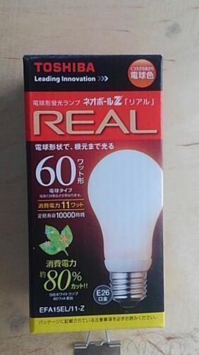電球形蛍光ランプ