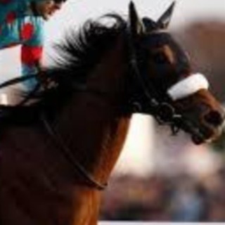 競馬の好きな方ユーチューブで投稿しませんか：N Rh.カズヤ