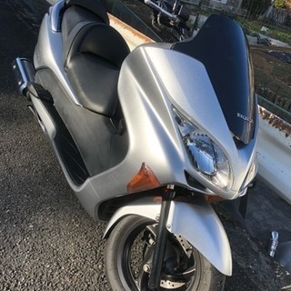 フォルツァ MF08 Z後期 超綺麗 安心のノーマル