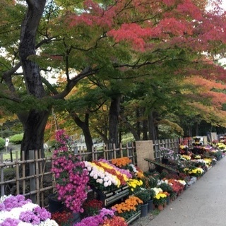 喫茶店巡り、など − 青森県