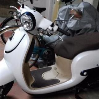 Honda スクーター ジョルノ
