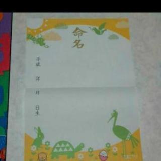 命名書
