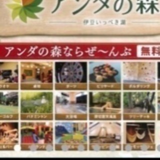 伊豆 アンダの森  ペア宿泊券 チケット