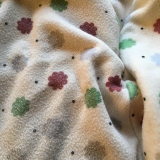 【お譲り先が決まりました】エアバギー フットマフの画像