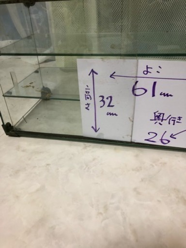 コレクションケースガラス  ケース  昭和 レトロ アンテーク