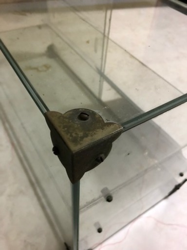 コレクションケースガラス  ケース  昭和 レトロ アンテーク