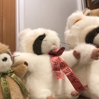 レッサーパンダ ぬいぐるみ４匹