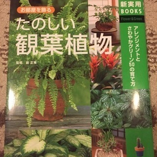 たのしい観葉植物