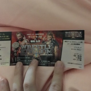 新日本プロレス レッスルキングダム13 1/4 東京ドーム
