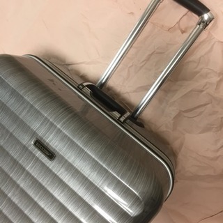 スーツケース トランク 大型 75cm メタリックシルバー